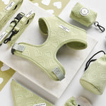 Cocopup Luxe Adjustable Dog Harness – Sage Green Heart Design The Stately Hound