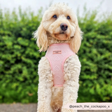 Cocopup Luxe Adjustable Neck Harness – Baby Pink Heart for Small & Medium Dogs The Stately Hound