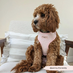 Cocopup Luxe Adjustable Neck Harness – Baby Pink Heart for Small & Medium Dogs The Stately Hound