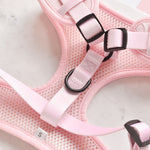 Cocopup Luxe Adjustable Neck Harness – Baby Pink Heart for Small & Medium Dogs The Stately Hound