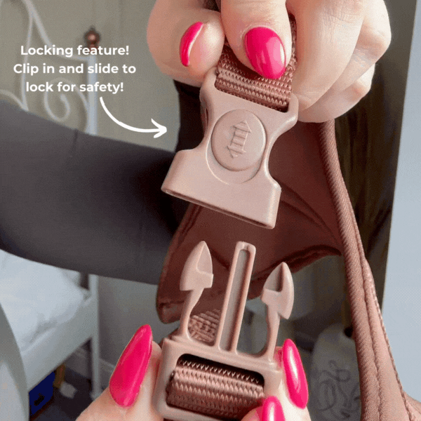 Cocopup Luxe Adjustable Neck Harness – Baby Pink Heart for Small & Medium Dogs The Stately Hound