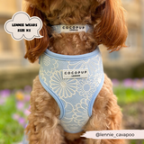 Cocopup Luxe Bundle - Baby Blue Flower Harness, Collar, and Lead The Stately Hound