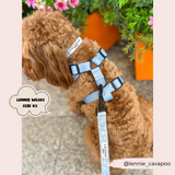 Cocopup Luxe Bundle - Baby Blue Flower Harness, Collar, and Lead The Stately Hound