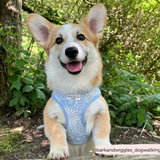 Cocopup Luxe Bundle - Baby Blue Flower Harness, Collar, and Lead The Stately Hound