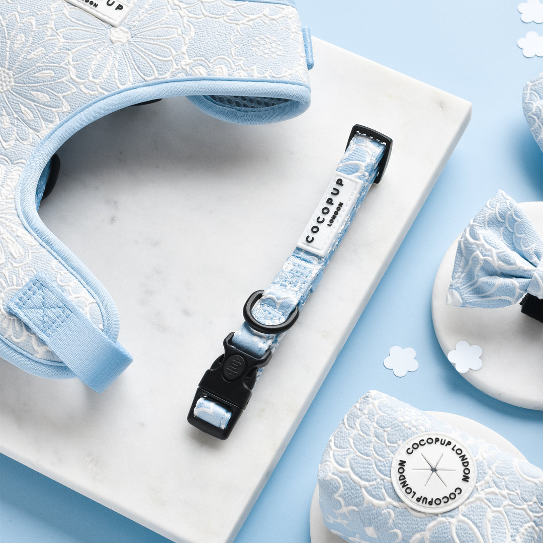 Cocopup Luxe Dog Collar - Baby Blue Flower