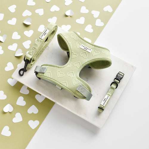 Cocopup Luxe Dog Collar - Sage Heart