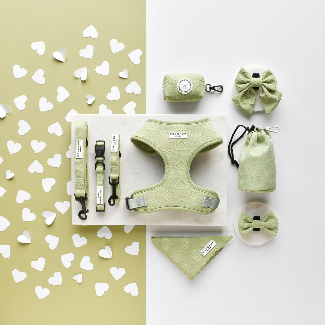 Cocopup Luxe Dog Collar - Sage Heart