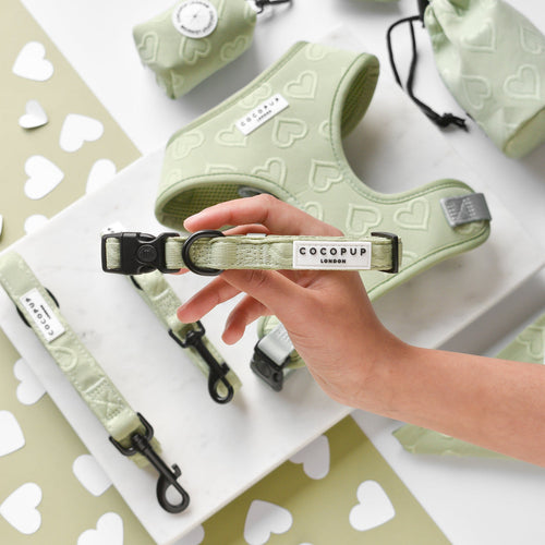 Cocopup Luxe Dog Collar - Sage Heart