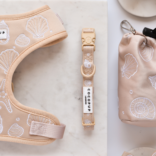 Cocopup Luxe Dog Collar - Seashells