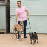 Combs Hound Collar | Elegant & Comfortable for Sighthounds The Stately Hound