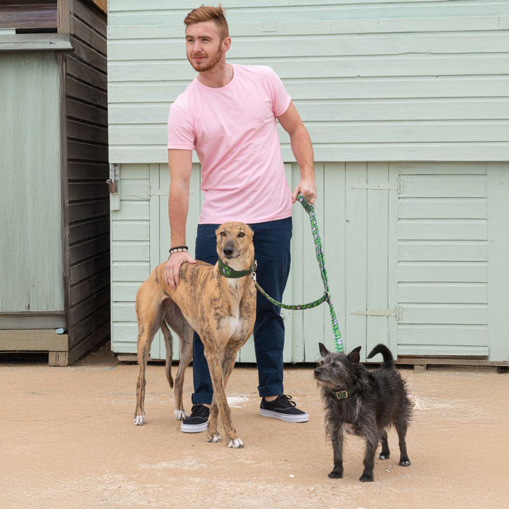 Combs Leather Whippet & Greyhound Fishtail Collar