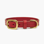 Crimson Red Leather Dog Lead with Gold Hardware The Stately Hound