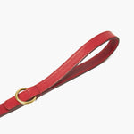 Crimson Red Leather Dog Lead with Gold Hardware The Stately Hound