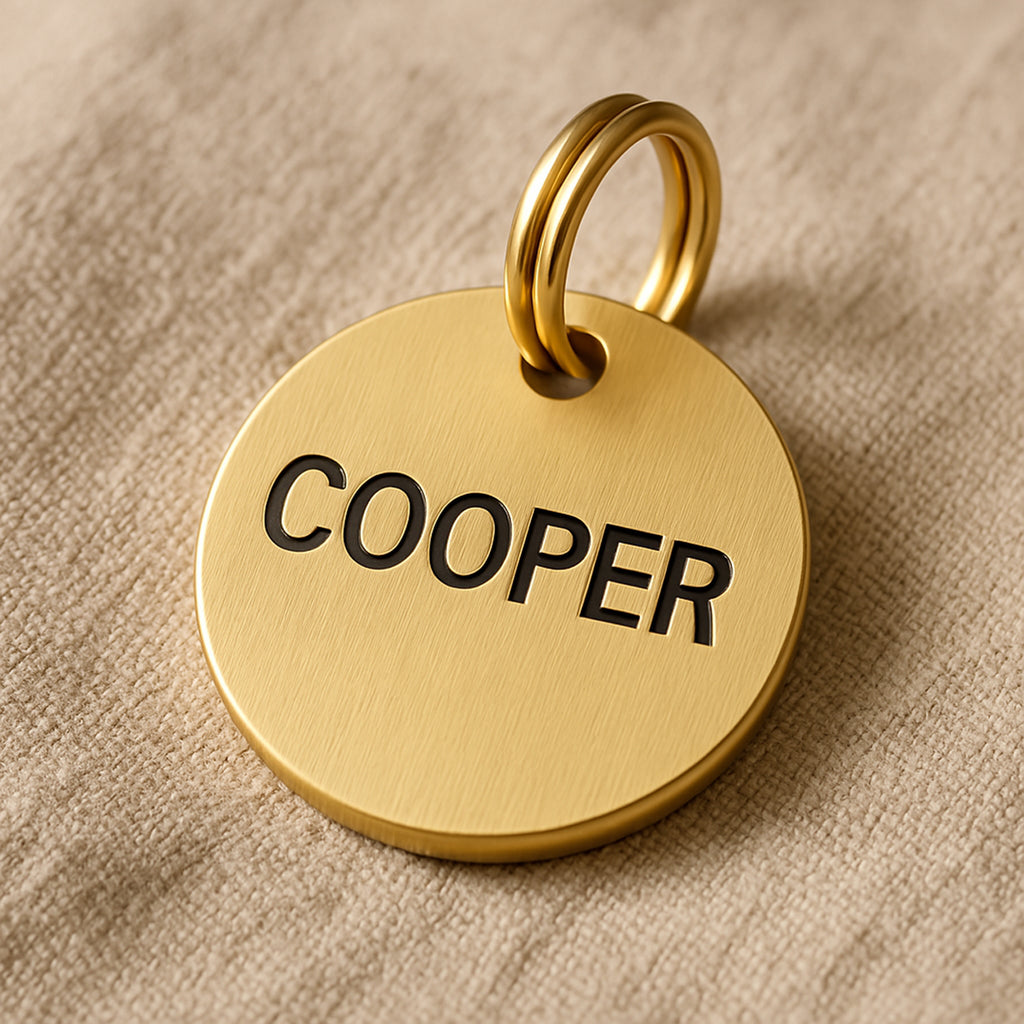 Custom Dog Tag in Gold Brass with Pet Name & Contact Info