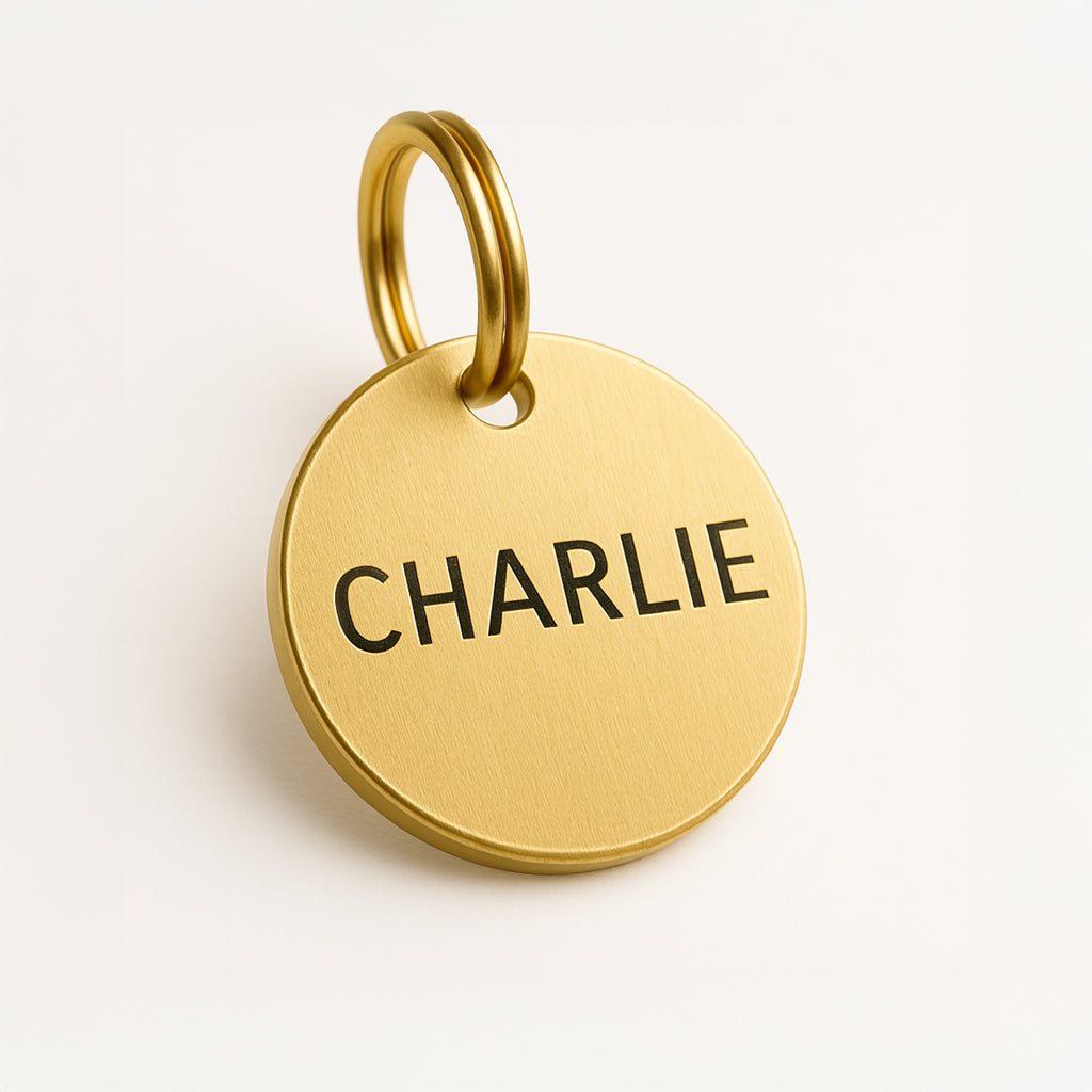 Custom Dog Tag in Gold Brass with Pet Name & Contact Info