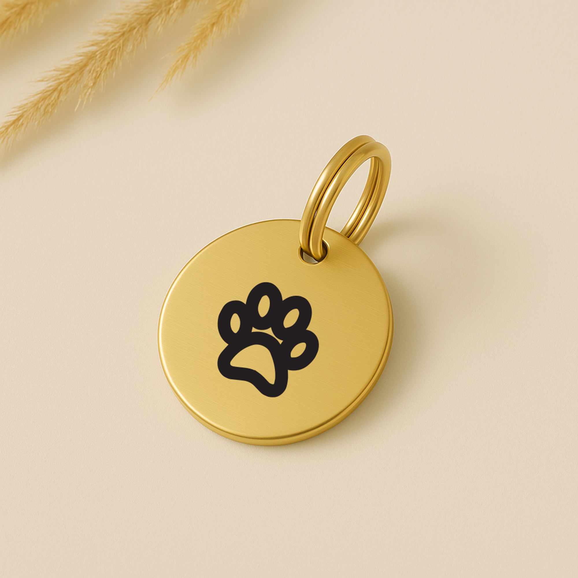 Custom-Engraved Brass Pet Name Tag – Choose Your Unique Symbol