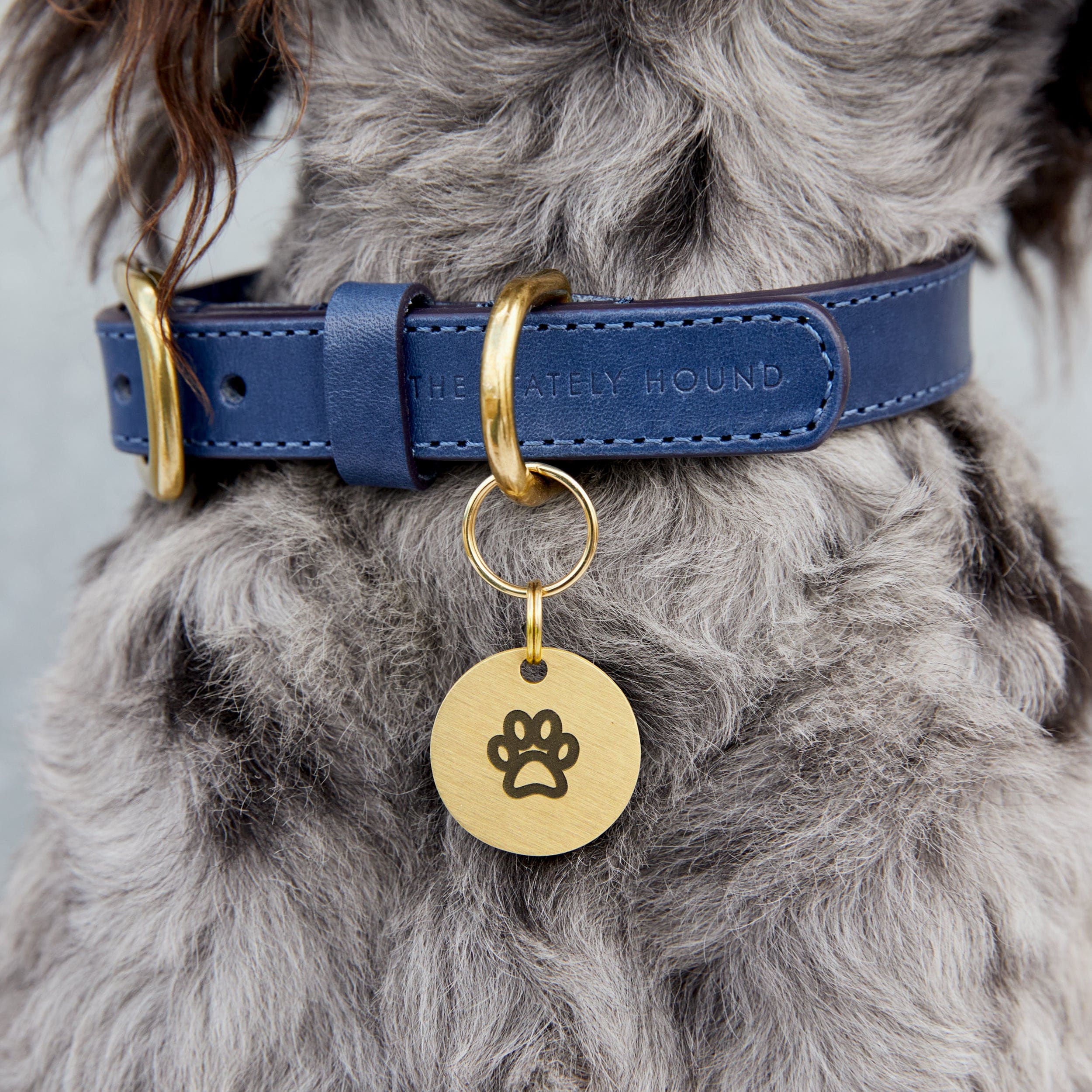 Custom-Engraved Brass Pet Name Tag – Choose Your Unique Symbol