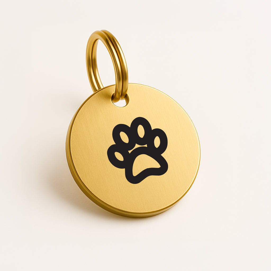 Custom-Engraved Brass Pet Name Tag – Choose Your Unique Symbol