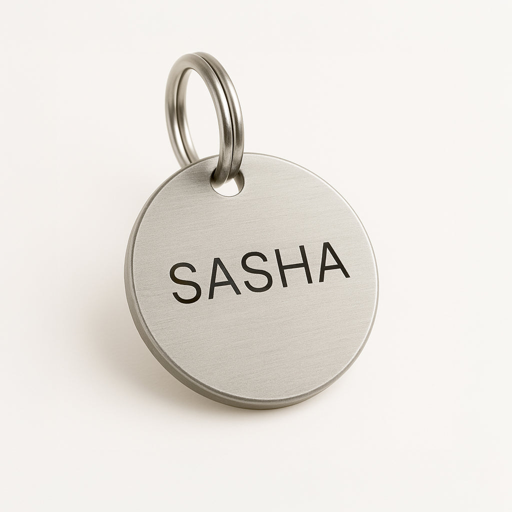 Custom Engraved Stainless Steel Dog Name Tag with ID