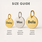 Custom Dog Tag in Gold Brass with Pet Name & Contact Info The Stately Hound