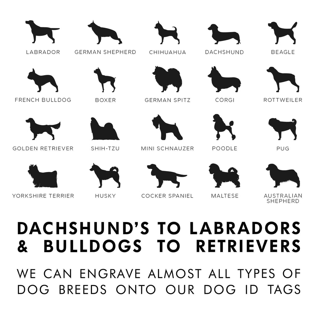 Custom Stainless Steel Dog Name Tag with Breed Silhouette