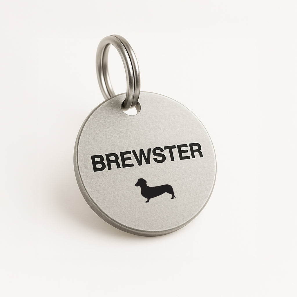 Custom Stainless Steel Dog Name Tag with Breed Silhouette