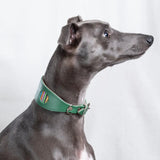 Rainbow Stripe Green Leather Whippet & Greyhound Collar - UK Made The Stately Hound