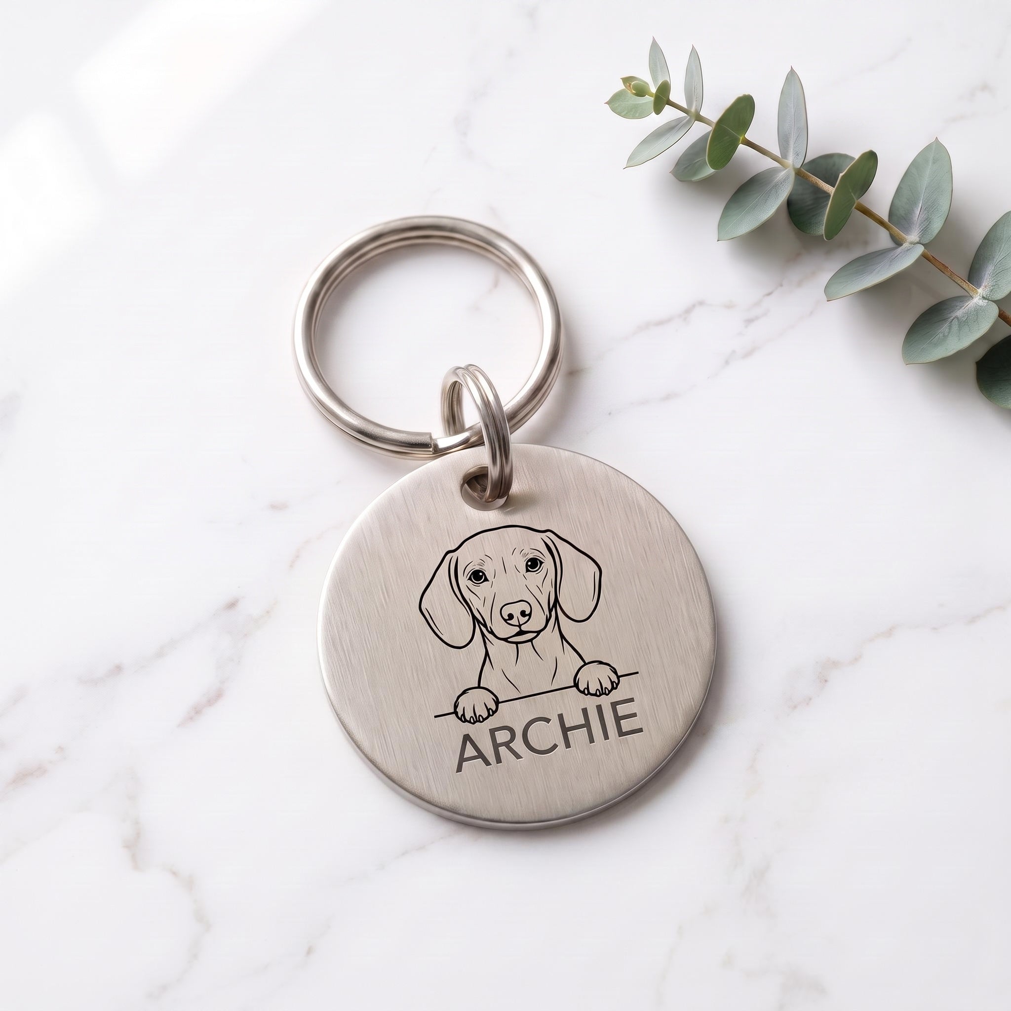 Silver personalised Dachshund dog tag in brushed stainless steel