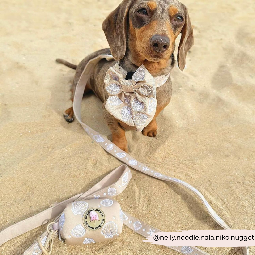 Cocopup Luxe Dog Lead - Seashells The Stately Hound