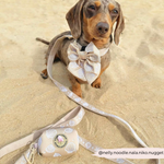 Cocopup Luxe Dog Lead - Seashells The Stately Hound