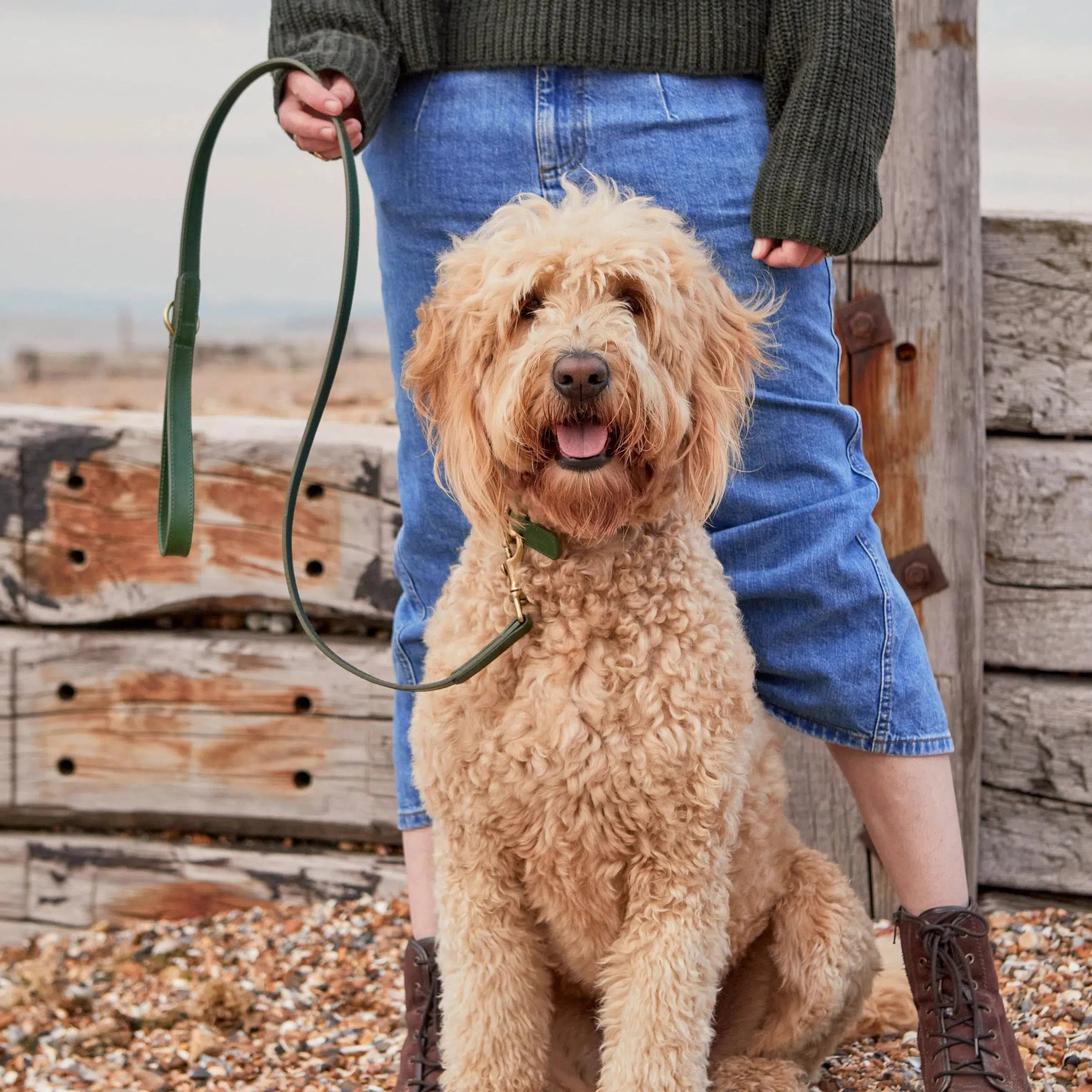 Emerald Green Leather Dog Lead with Gold Hardware The Stately Hound