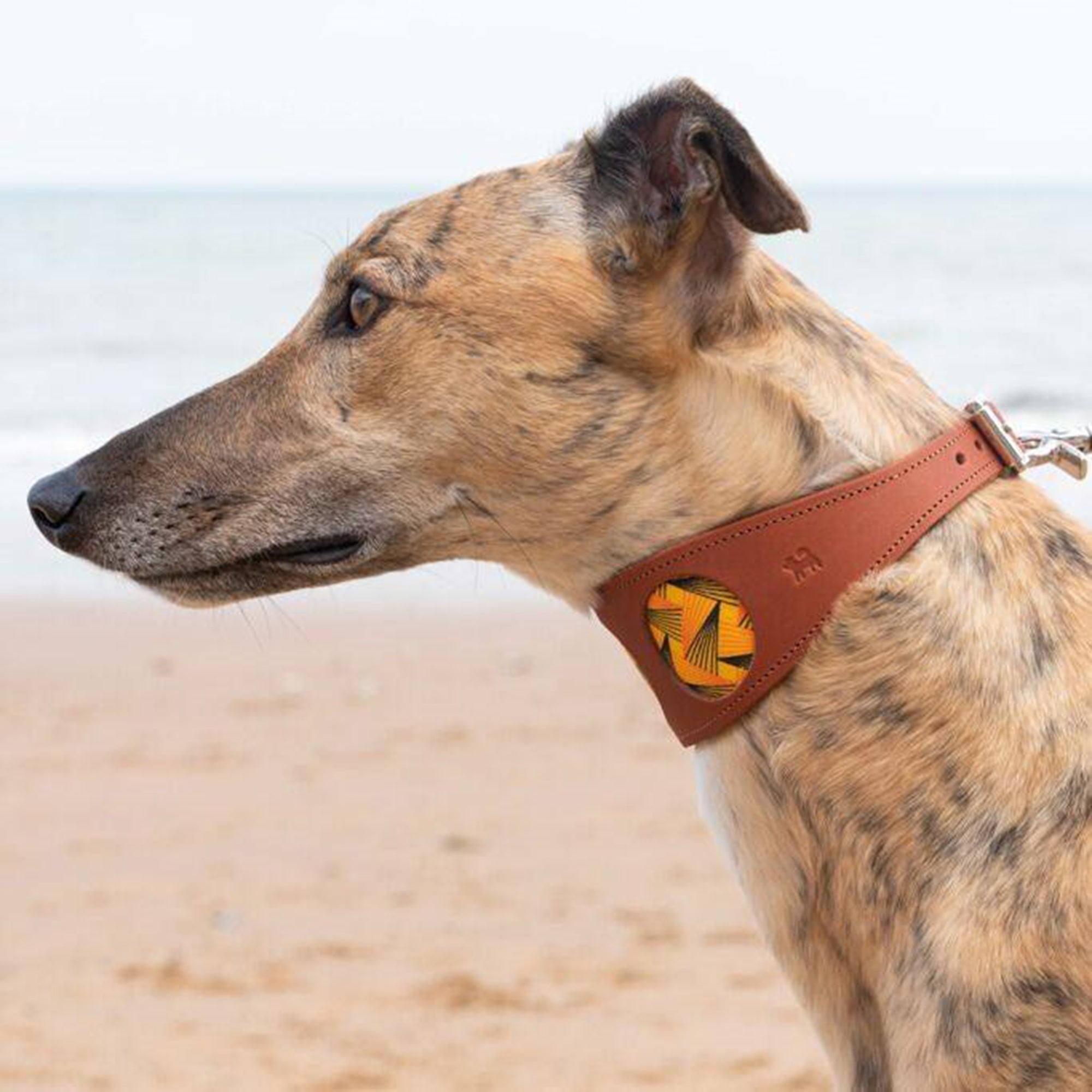 Fireworks Leather Whippet & Greyhound Fishtail Collar