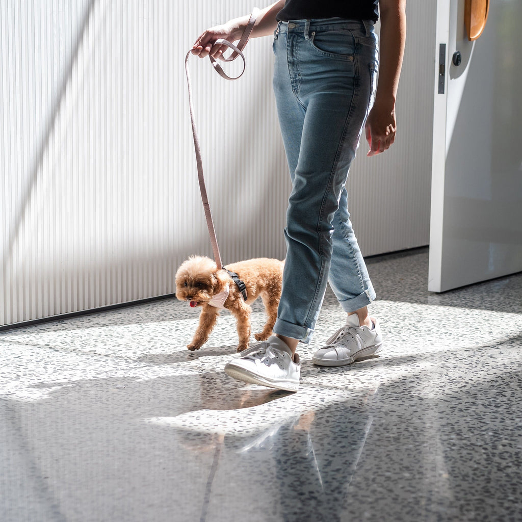 FuzzYard Blush Pink Dog Collar – Stylish Comfort for Your Pup