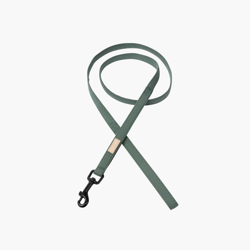 FuzzYard Green High-Quality Cotton Dog Lead with 360-Degree Rotating Clasp