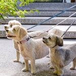 FuzzYard Blue High-Quality Cotton Dog Lead with 360-Degree Rotating Clasp The Stately Hound