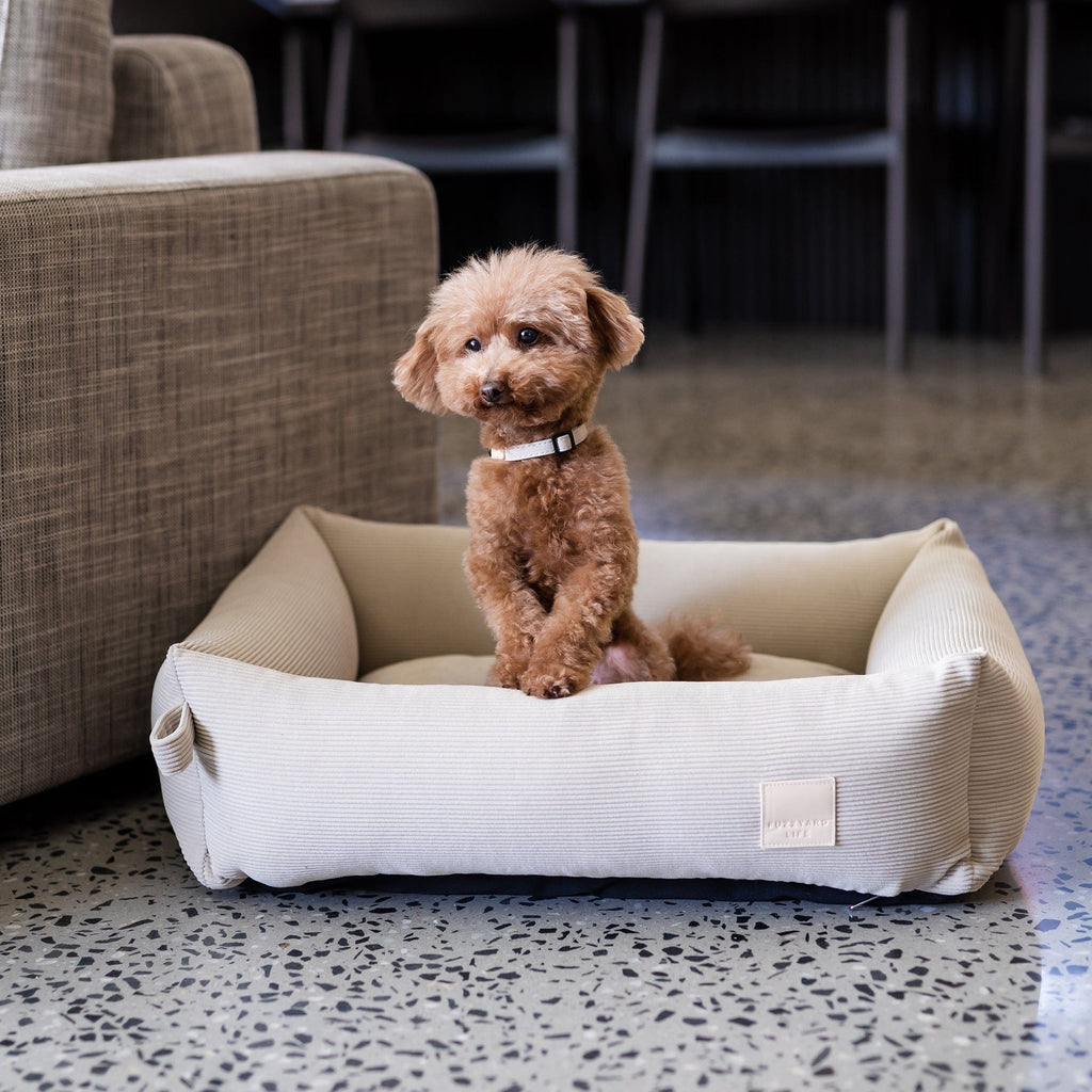 Large FuzzYard Life Sandstone Dog Collar – Stylish, Comfortable & Durable