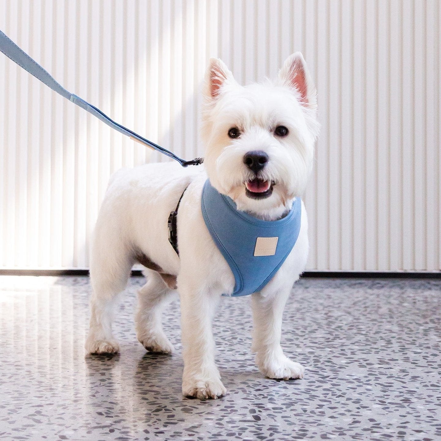 FuzzYard Life Step-In Dog Harness in French Blue The Stately Hound