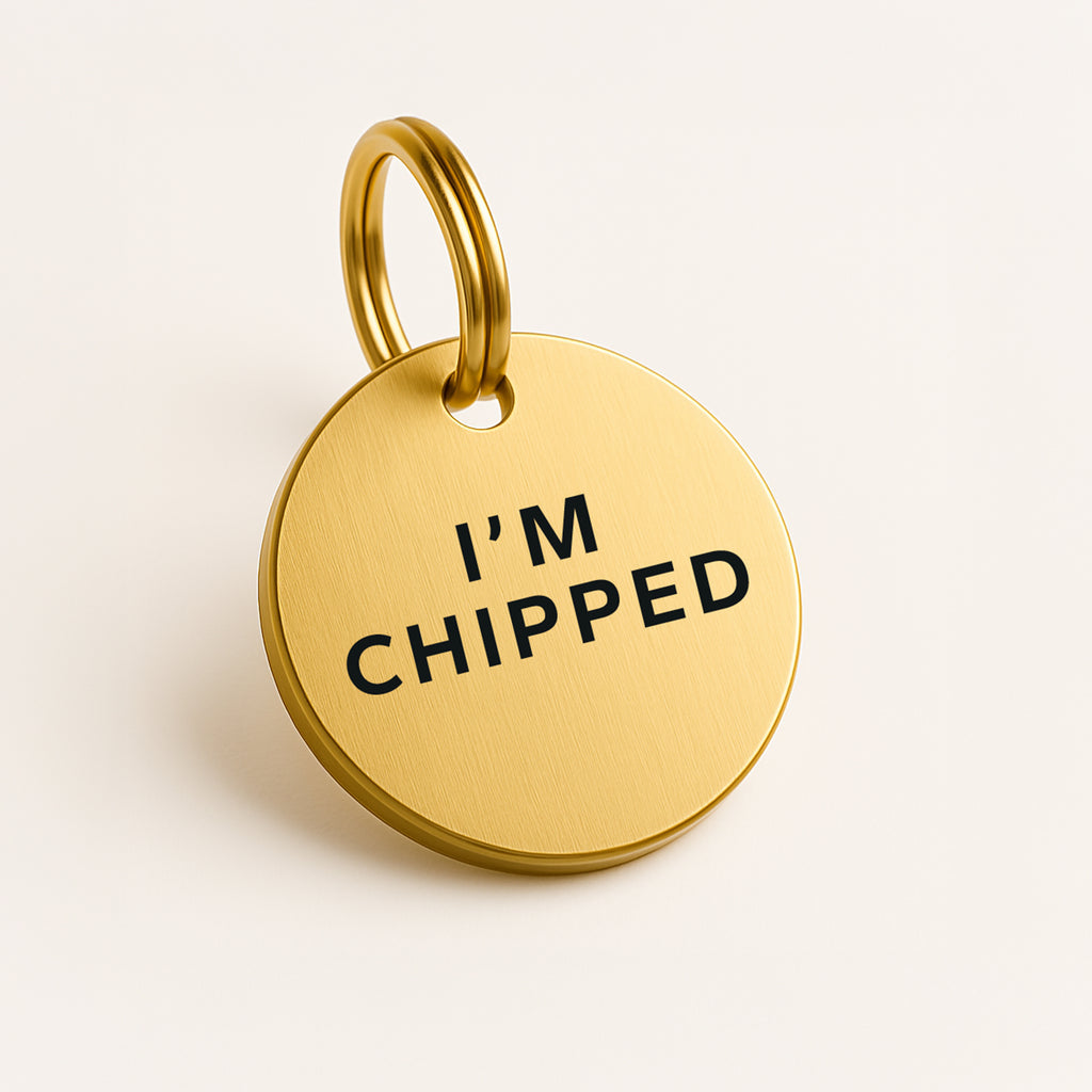 Gold-Tone Brass Dog Collar Tag with Engraved "I'm Chipped" and Custom Contact Details
