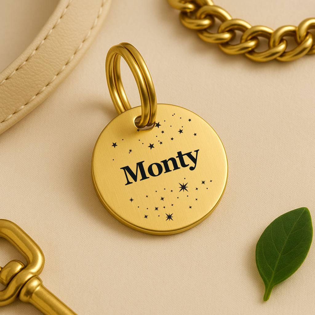 Gold-Tone Brass Personalised Dog Collar Tag with Custom Engraved Pet Name and Stars