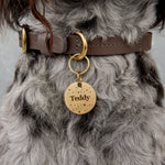 Gold-Tone Brass Personalised Dog Collar Tag with Custom Engraved Pet Name and Stars The Stately Hound
