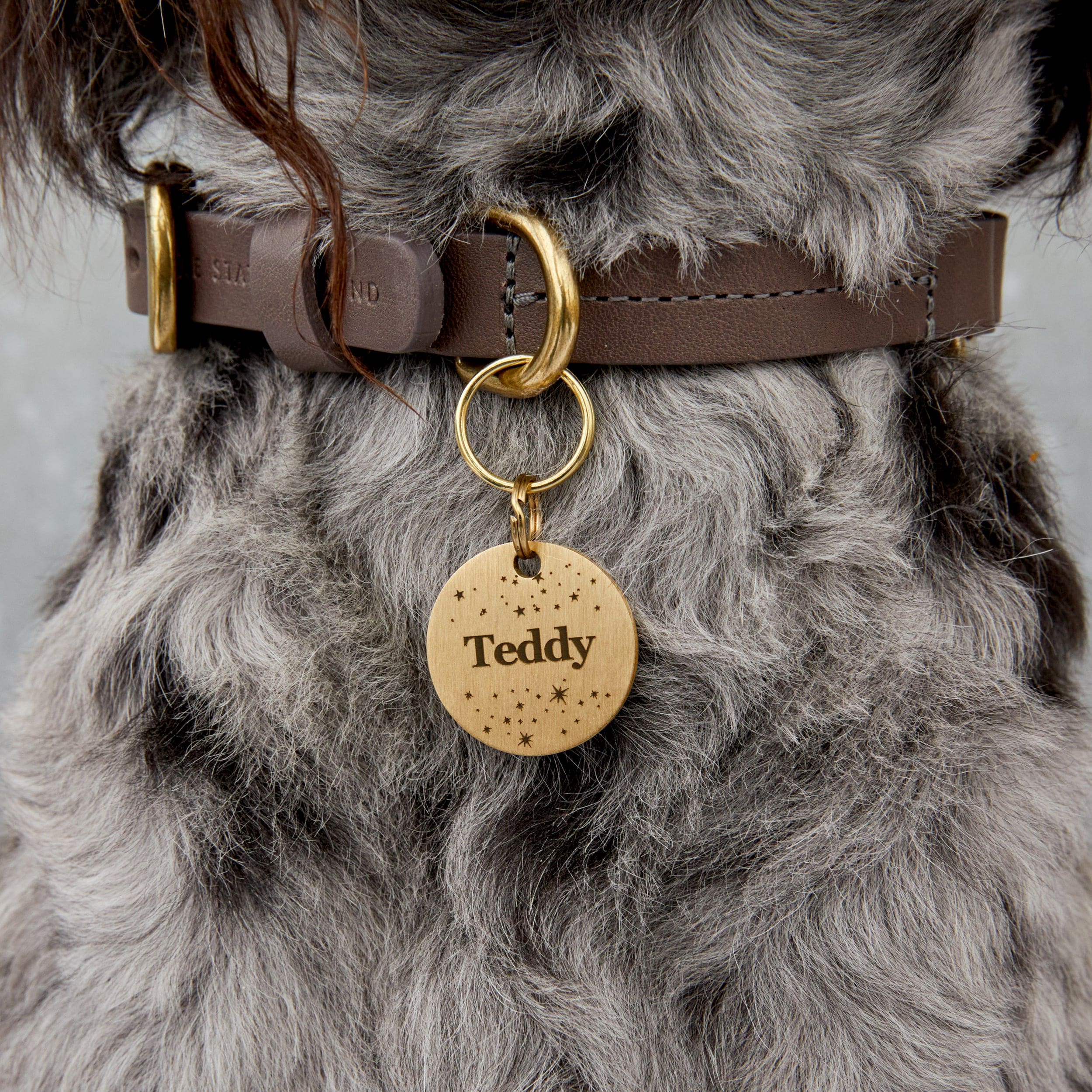 Gold-Tone Brass Personalised Dog Collar Tag with Custom Engraved Pet Name and Stars The Stately Hound