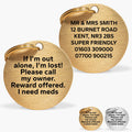 Gold-Tone Brass Personalised Pet Tag with Custom Engraved Contact Info