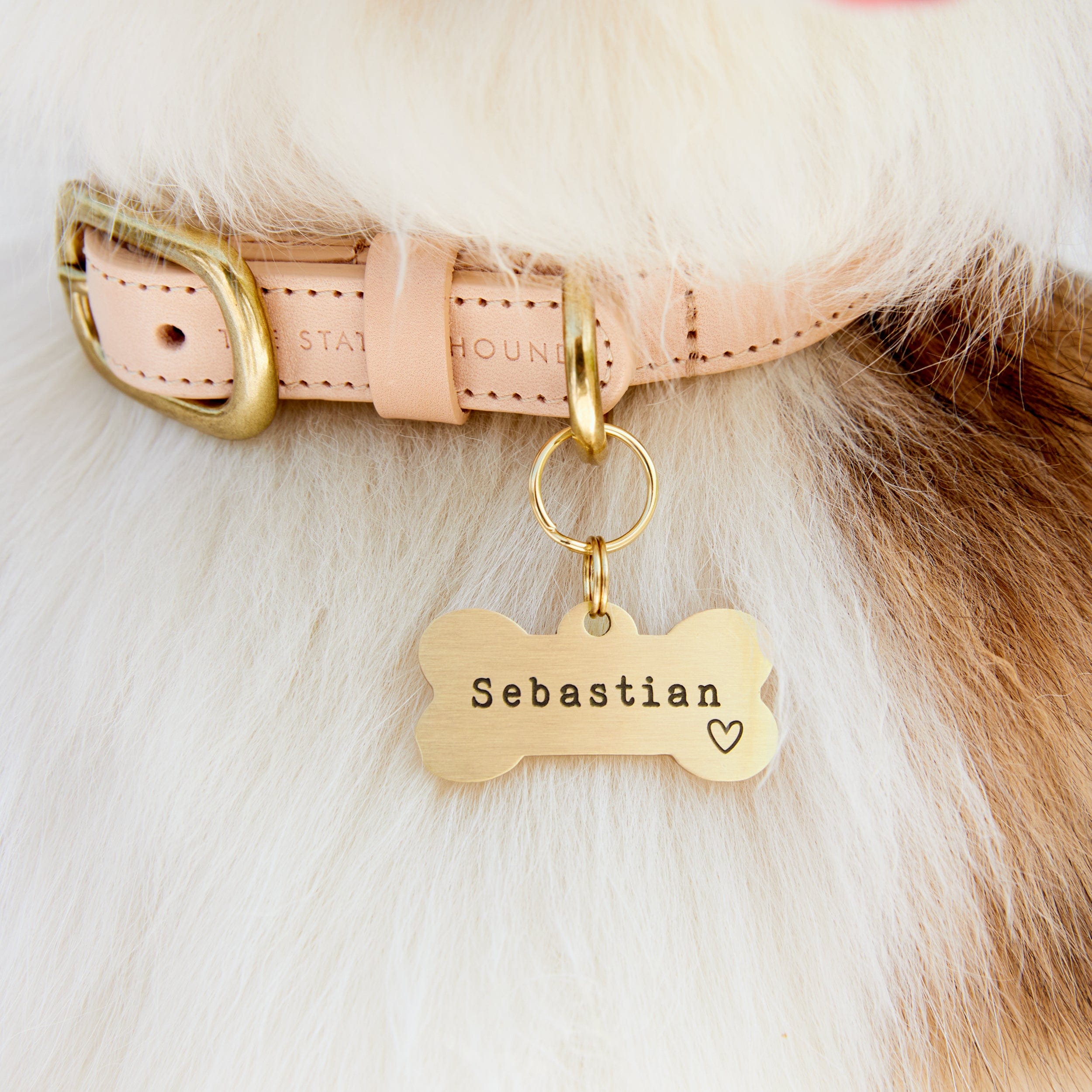 Handcrafted Solid Brass Bone Dog Name Tag - Stylish, Durable, and Personalised The Stately Hound