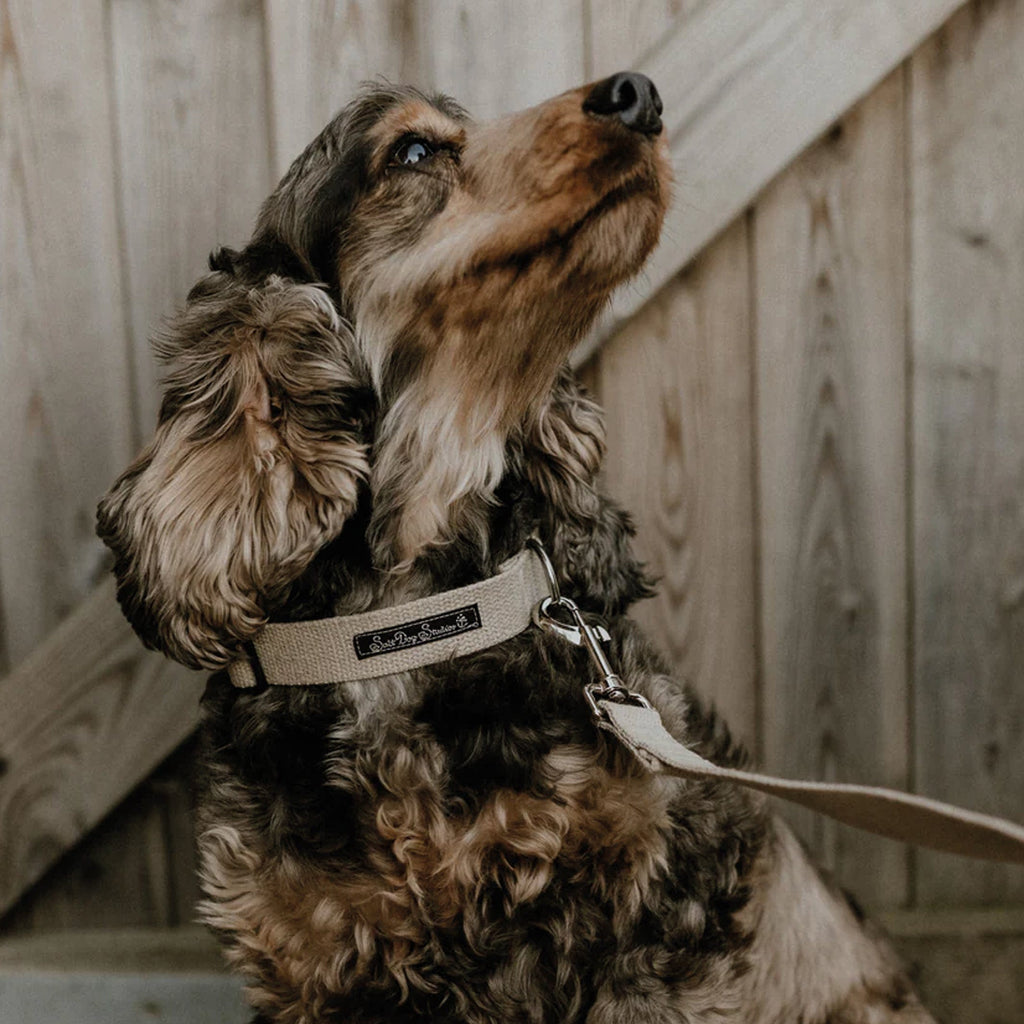 Handmade 100% Organic Hemp Dog Collar in Natural Hemp