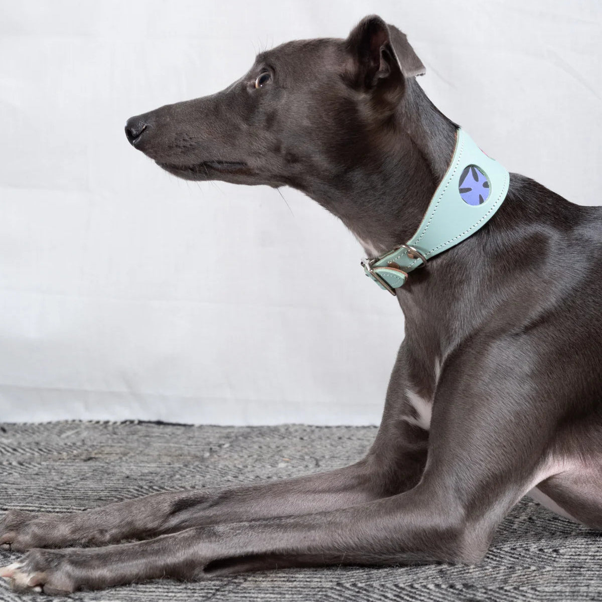 Mud Cloth Leather Whippet & Greyhound Fishtail Collar The Stately Hound