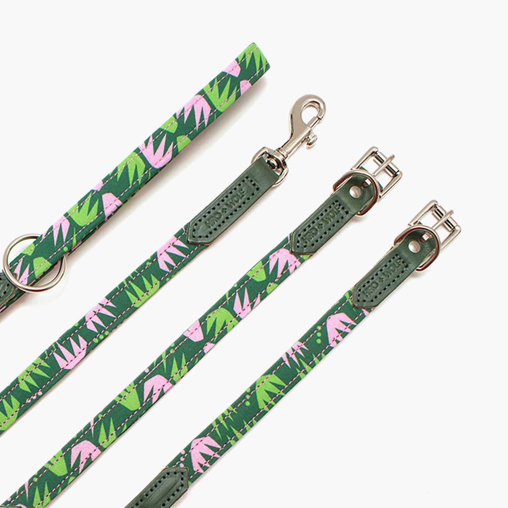 Hiro + Wolf Combs Dog Collar: Sustainable, Stylish and Adjustable