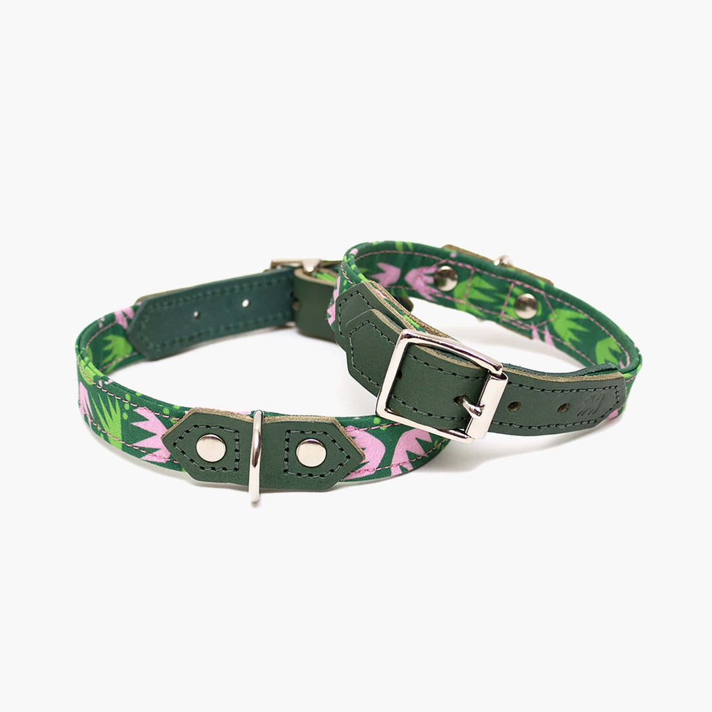 Hiro + Wolf Combs Dog Collar: Sustainable, Stylish and Adjustable