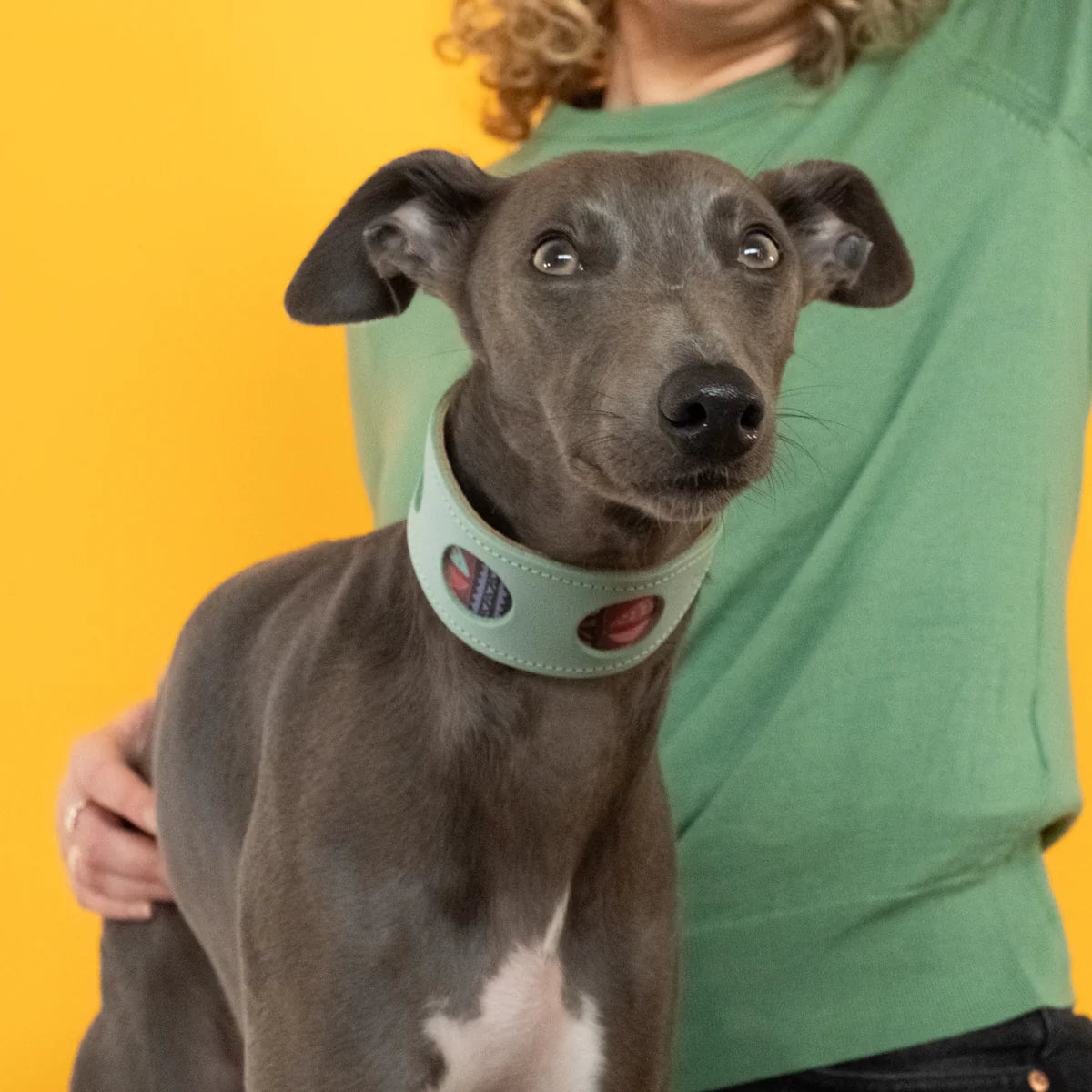 Mud Cloth Leather Whippet & Greyhound Fishtail Collar