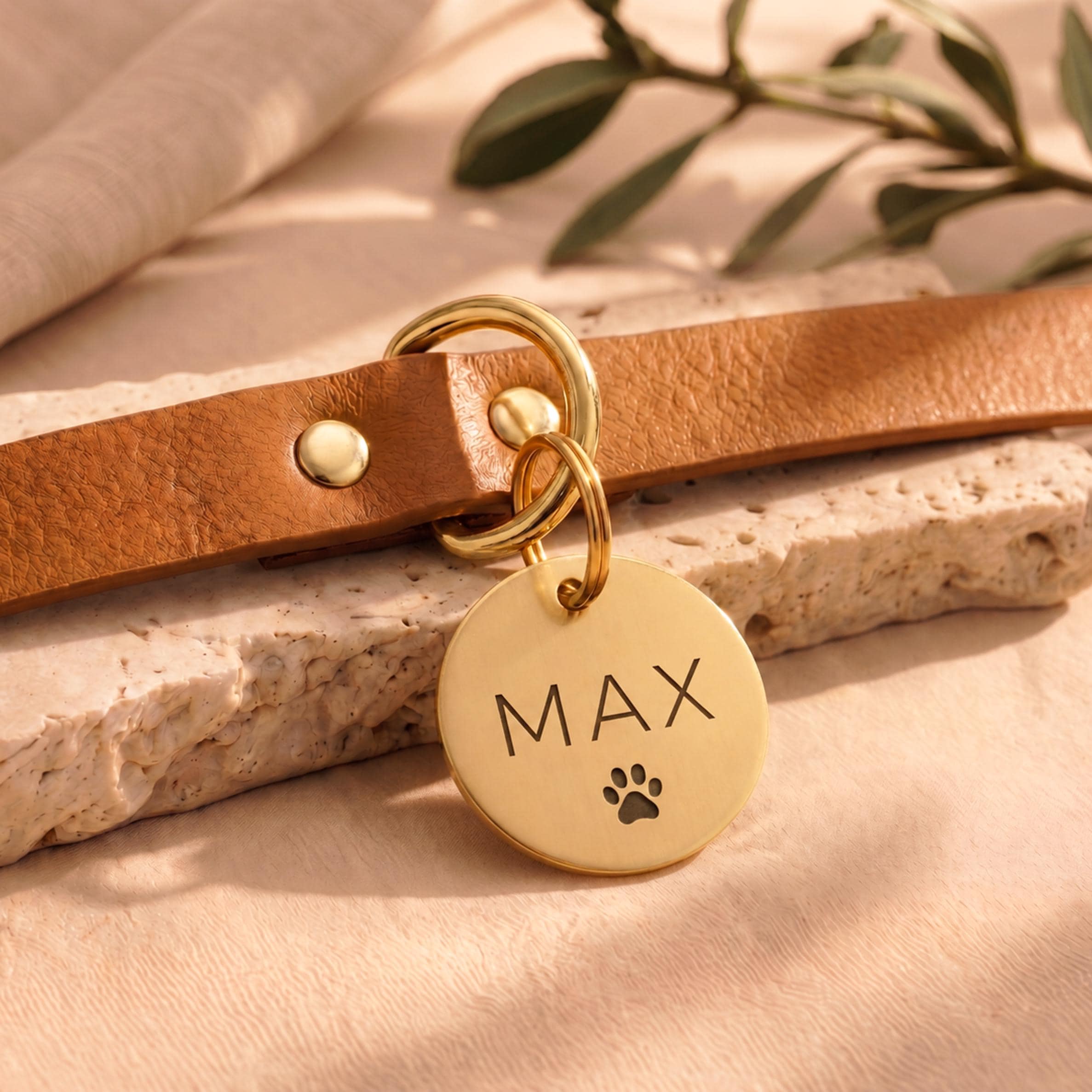 Personalised dog tag engraved MAX with a paw symbol, worn on a tan leather collar