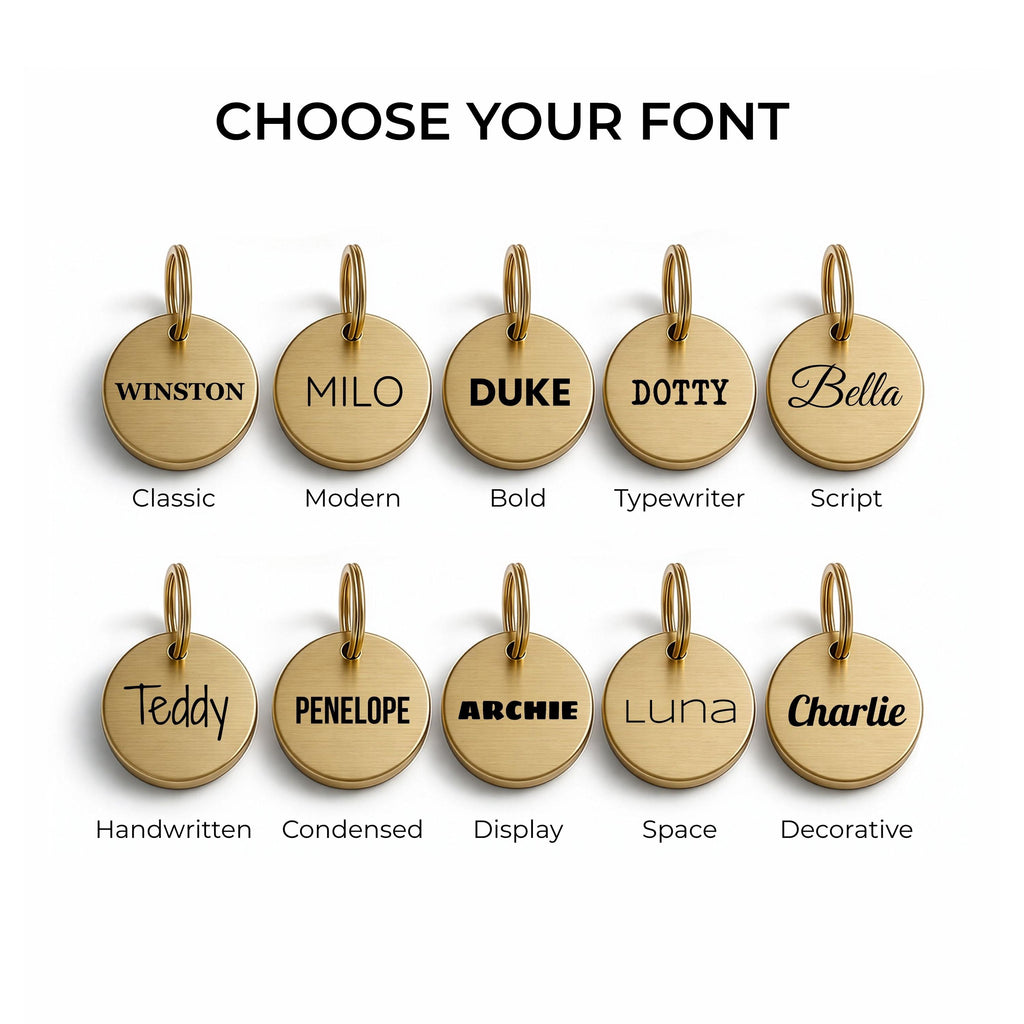 Choose your font - the 10 engraving font styles shown with example pet names